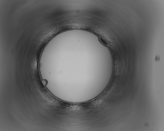 X0000094370310200711242005