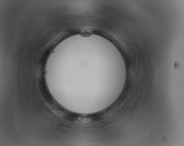 X0000094370311200711242005