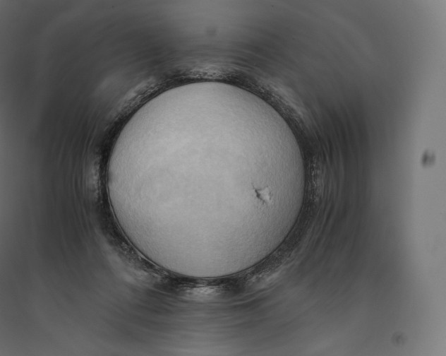 X0000094370312200711242005