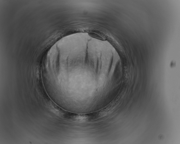 X0000094370313200711242005