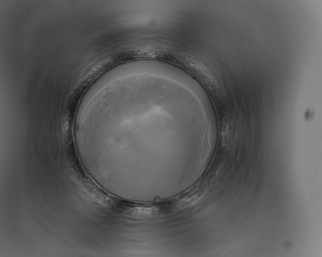 X0000094370314200711242005