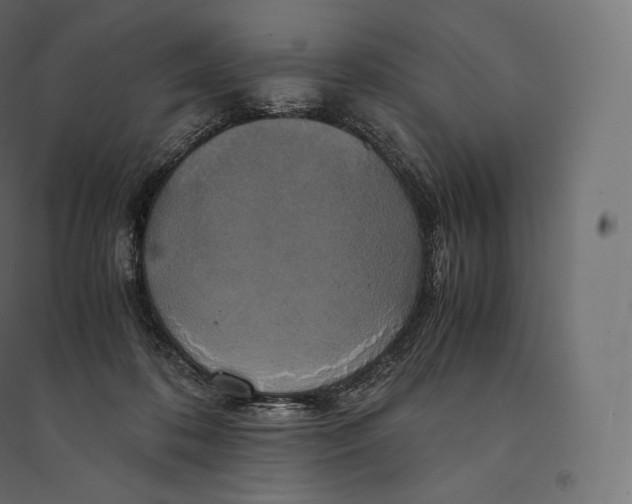 X0000094370316200711242005