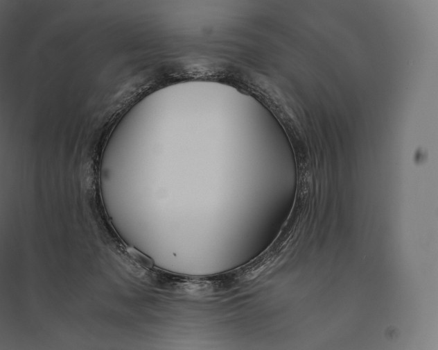 X0000094370317200711242005