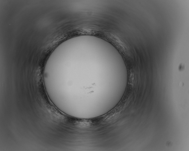 X0000094370318200711242005