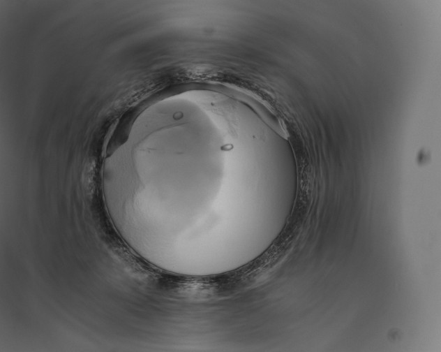 X0000094370319200711242005