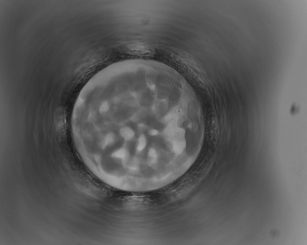 X0000094370320200711242005