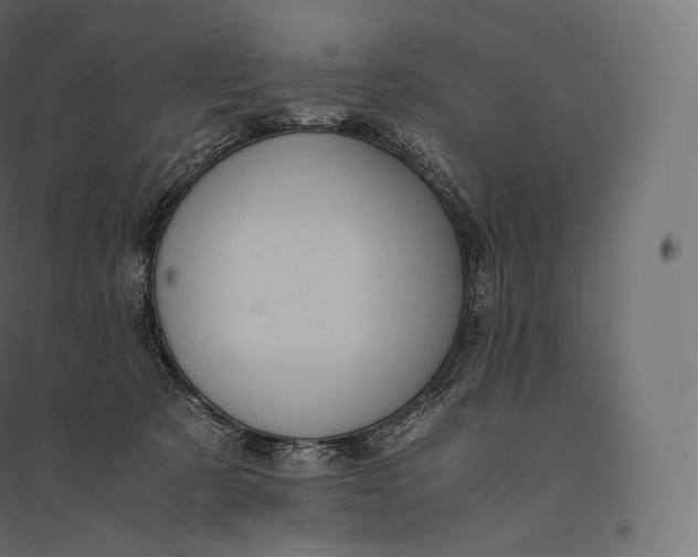 X0000094370321200711242005