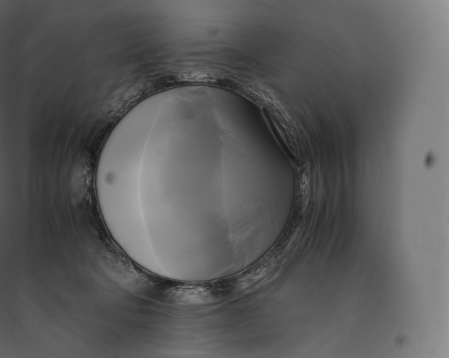 X0000094370322200711242005