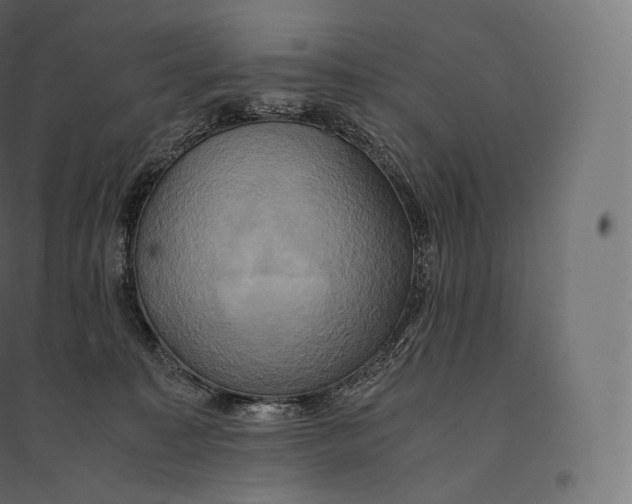 X0000094370323200711242005