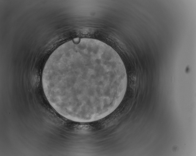 X0000094370324200711242005