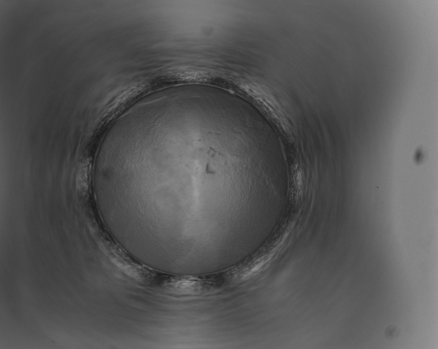 X0000094370325200711242005