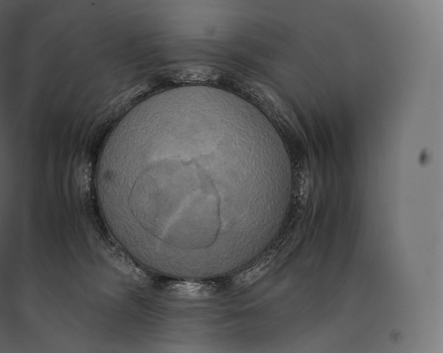 X0000094370326200711242005