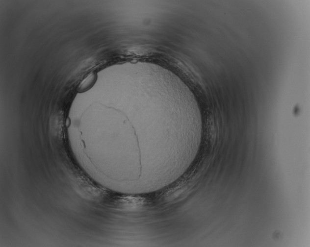 X0000094370328200711242005