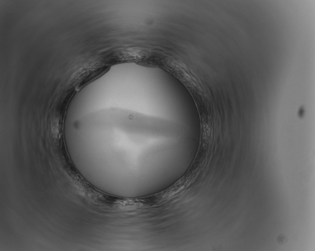 X0000094370331200711242005