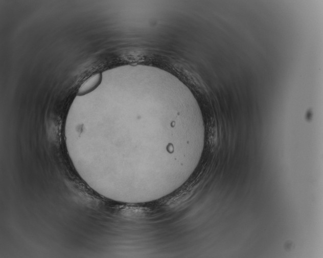 X0000094370332200711242005