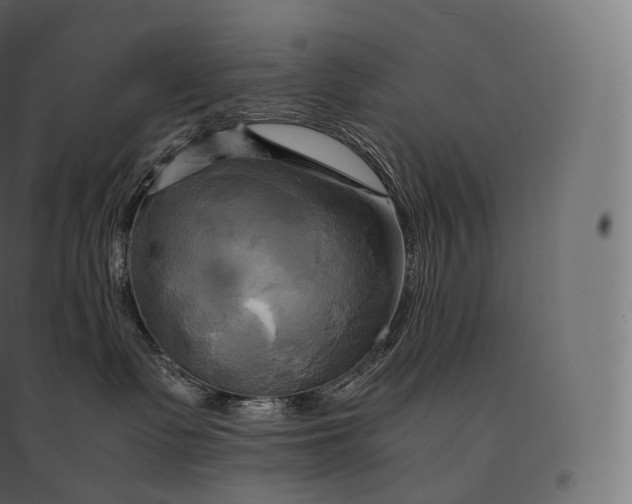 X0000094370335200711242005