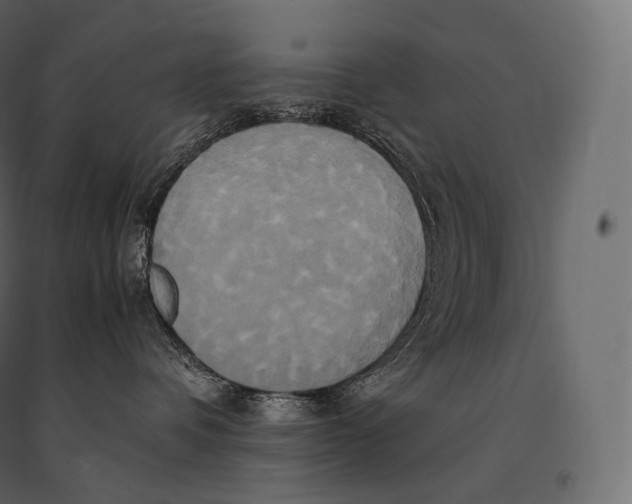 X0000094370336200711242005