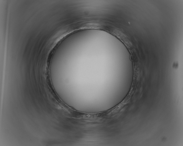 X0000094370338200711242004