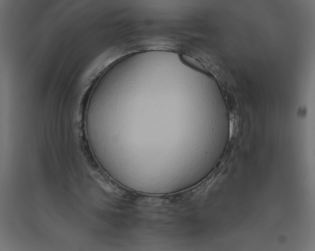 X0000094370339200711242004