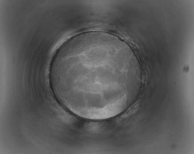 X0000094370341200711242004