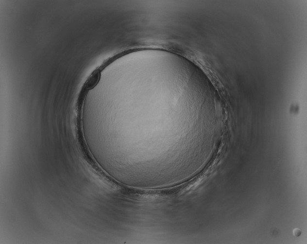 X0000094370342200711242004