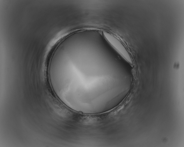 X0000094370343200711242004