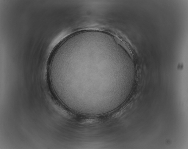 X0000094370344200711242004