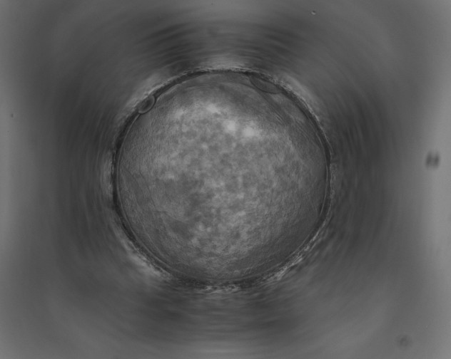 X0000094370345200711242005