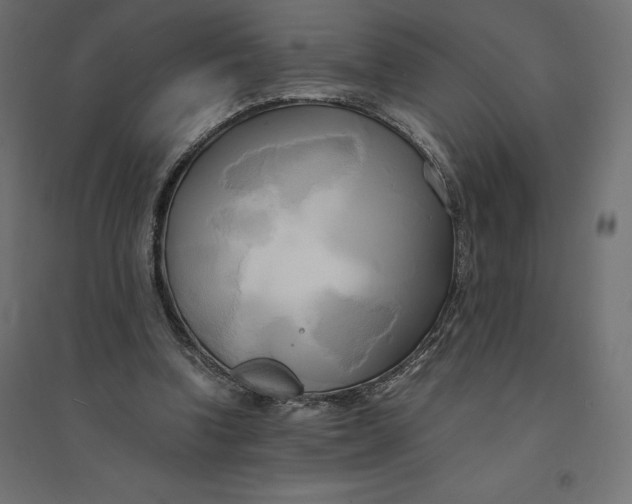 X0000094370346200711242005