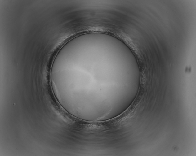 X0000094370347200711242005