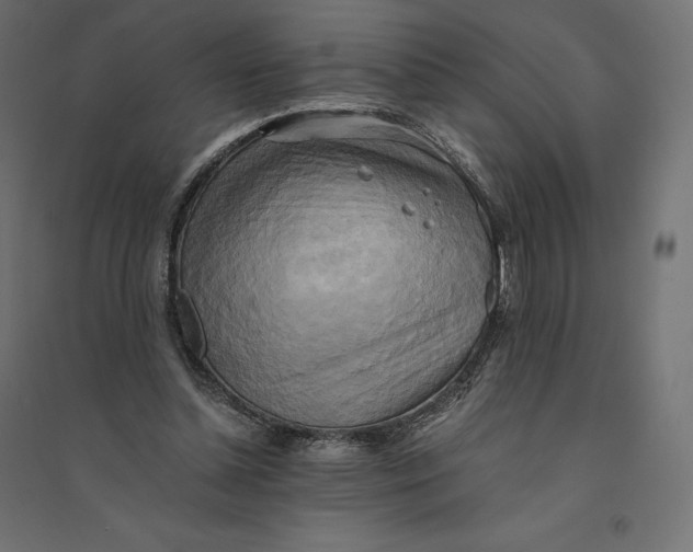 X0000094370348200711242005