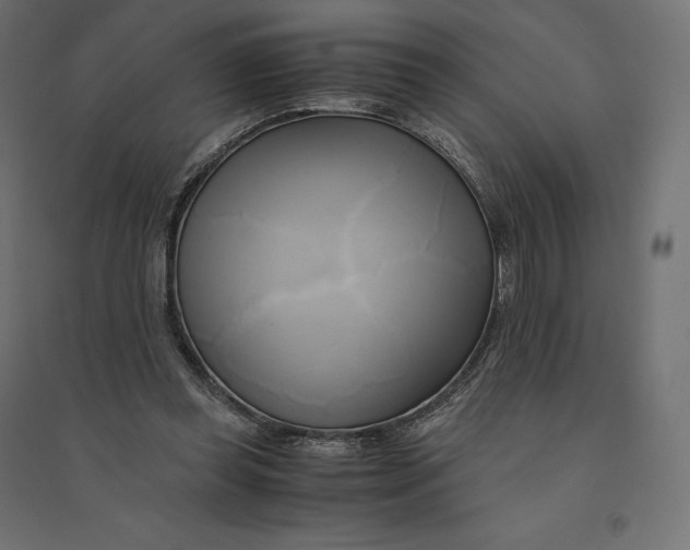 X0000094370349200711242005