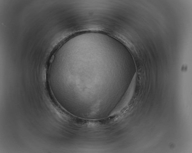 X0000094370350200711242005