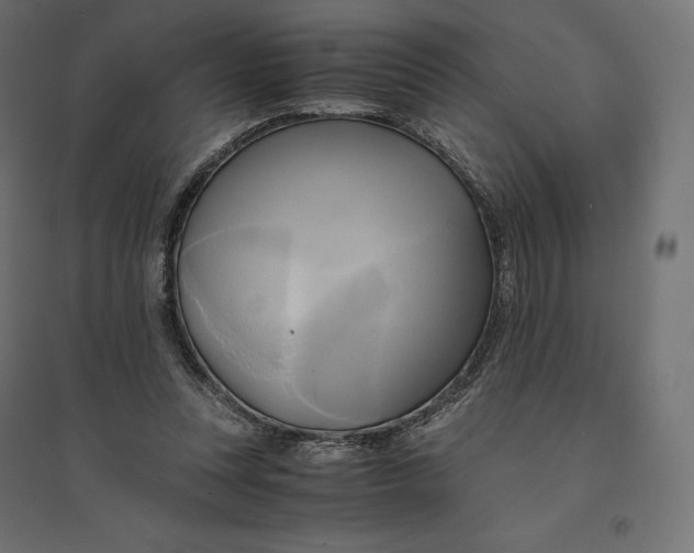 X0000094370351200711242005