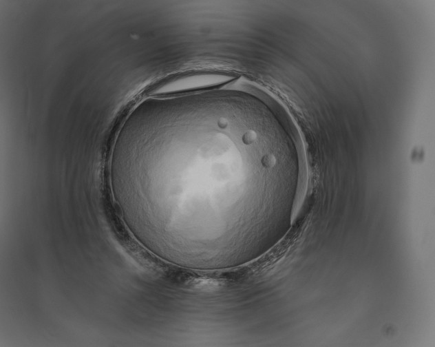 X0000094370352200711242005