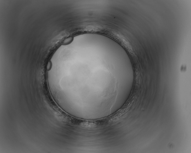 X0000094370354200711242005