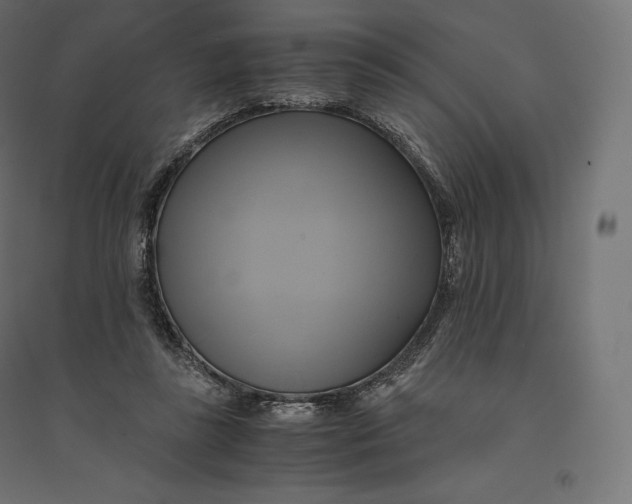 X0000094370355200711242005