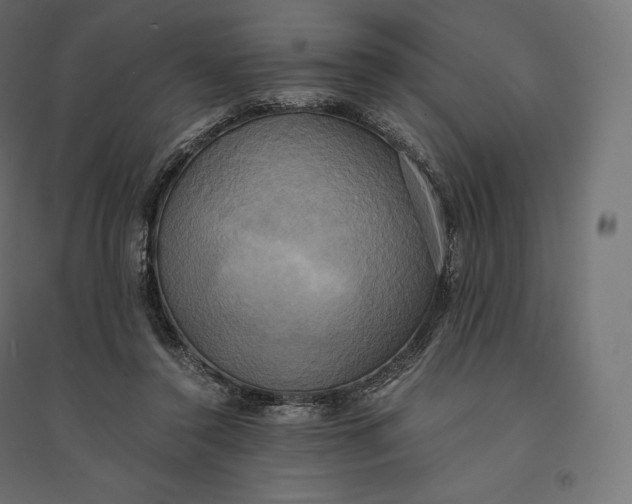 X0000094370356200711242005