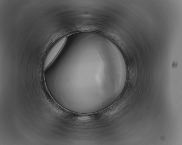 X0000094370357200711242005