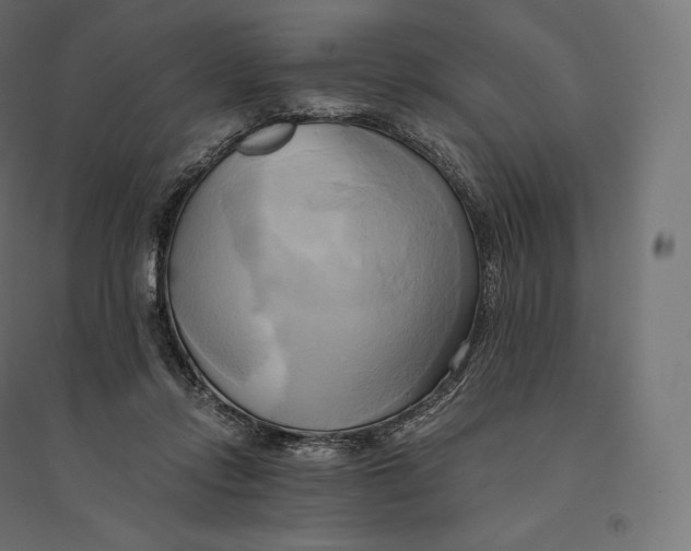 X0000094370358200711242005