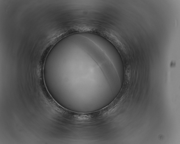 X0000094370359200711242005