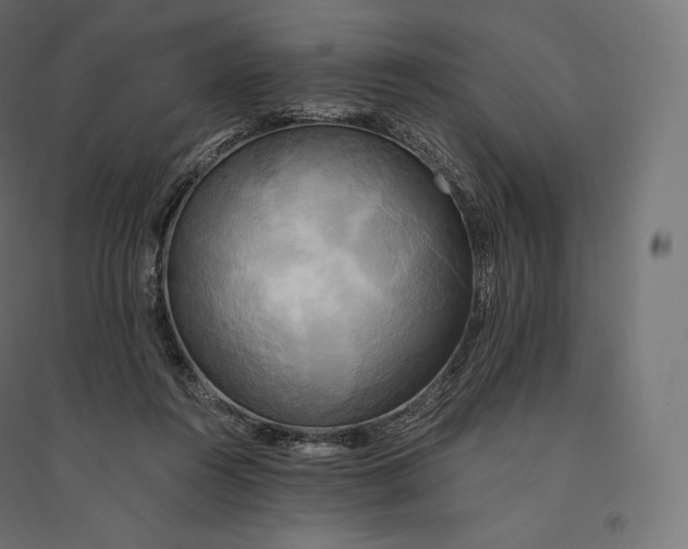 X0000094370360200711242005