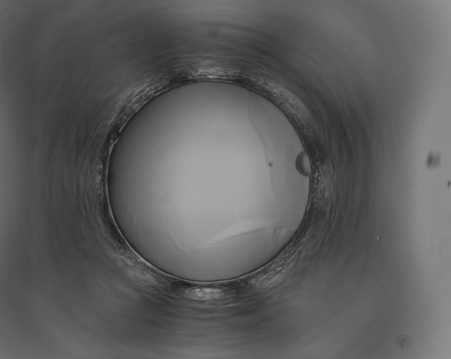 X0000094370361200711242005