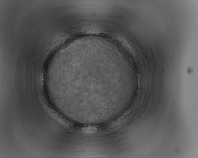 X0000094370362200711242005