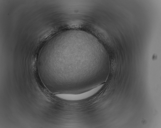 X0000094370364200711242005