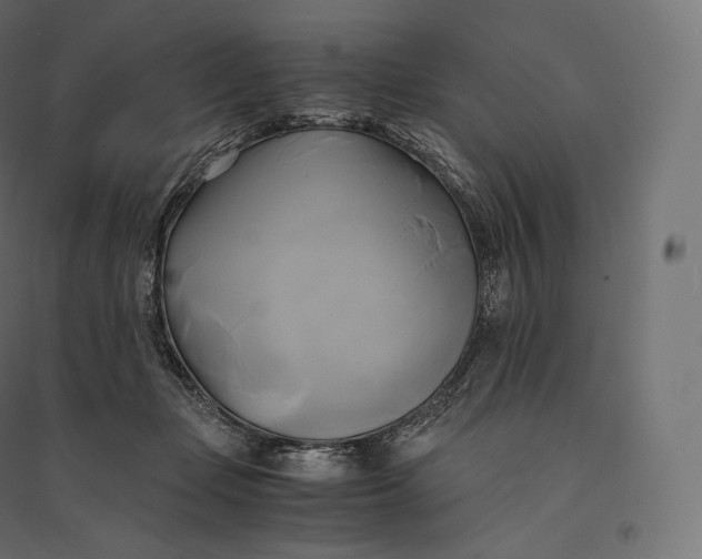 X0000094370365200711242005