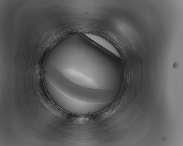 X0000094370366200711242005