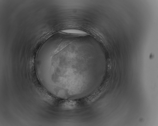 X0000094370369200711242005