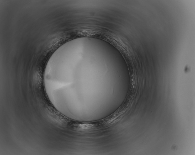 X0000094370371200711242005