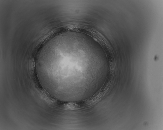 X0000094370372200711242005